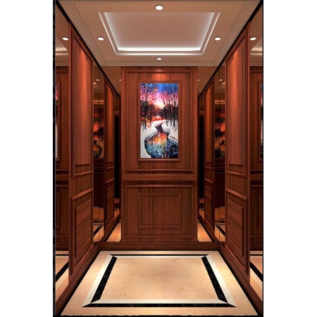 Hotel Type Passenger Elevator, Sunshine Bay Residence