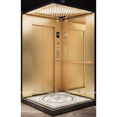 Smallest home elevator, Speed 60 m/min, Load 200kg (3 people)