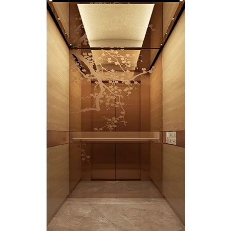 Energy-Efficient Home Elevators | Eco-Friendly Villa Lift